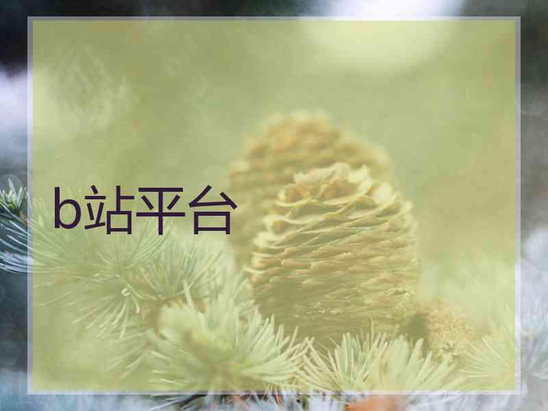 b站平台 b站平台