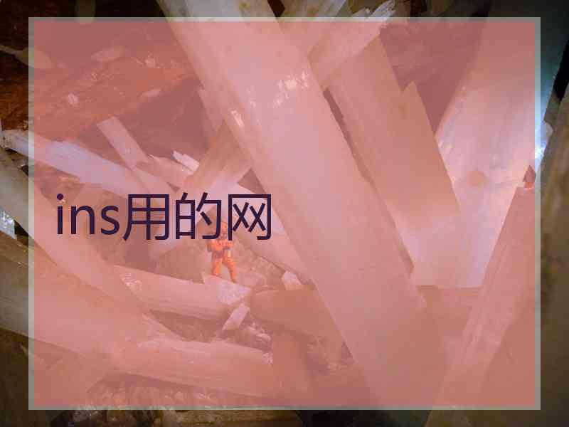 ins用的网 ins用的网