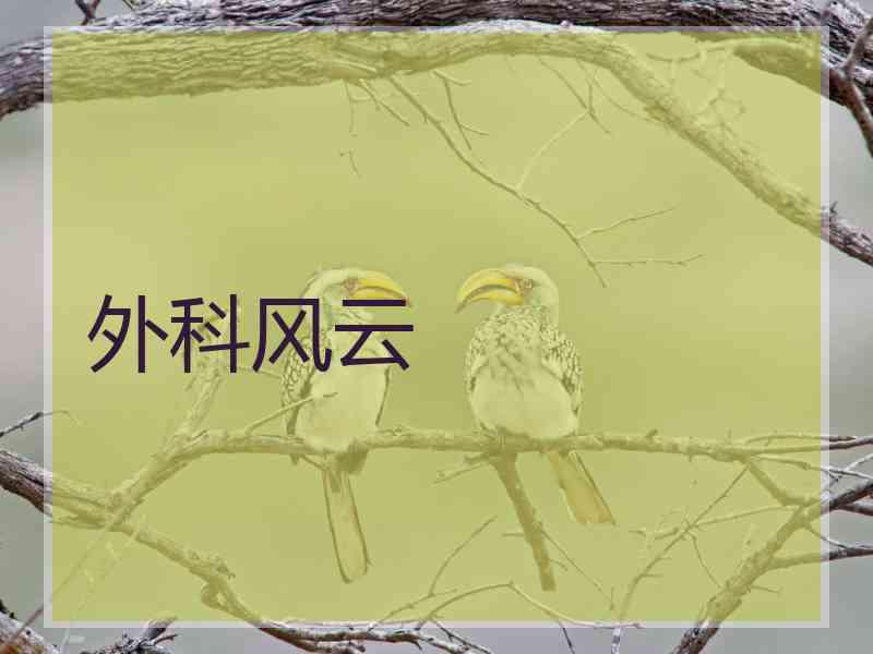 外科风云 外科风云