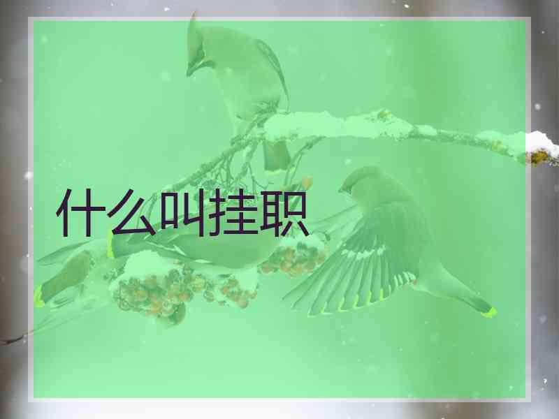 什么叫挂职 什么叫挂职