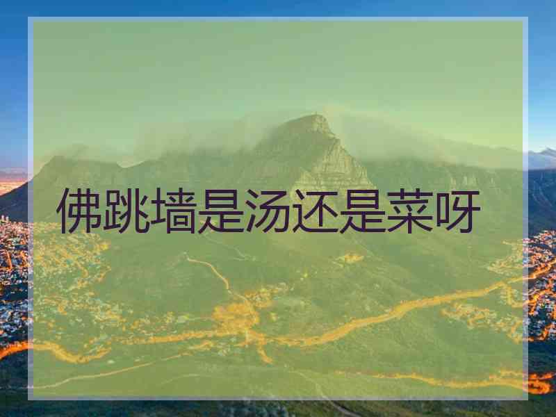 佛跳墙是汤还是菜呀 佛跳墙是汤还是菜呀