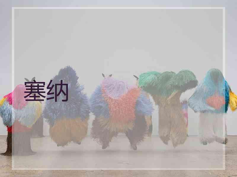 塞纳 塞纳