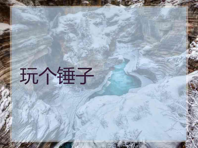 玩个锤子 玩个锤子