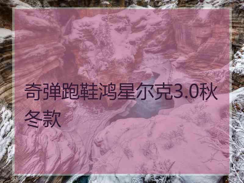 奇弹跑鞋鸿星尔克3.0秋冬款