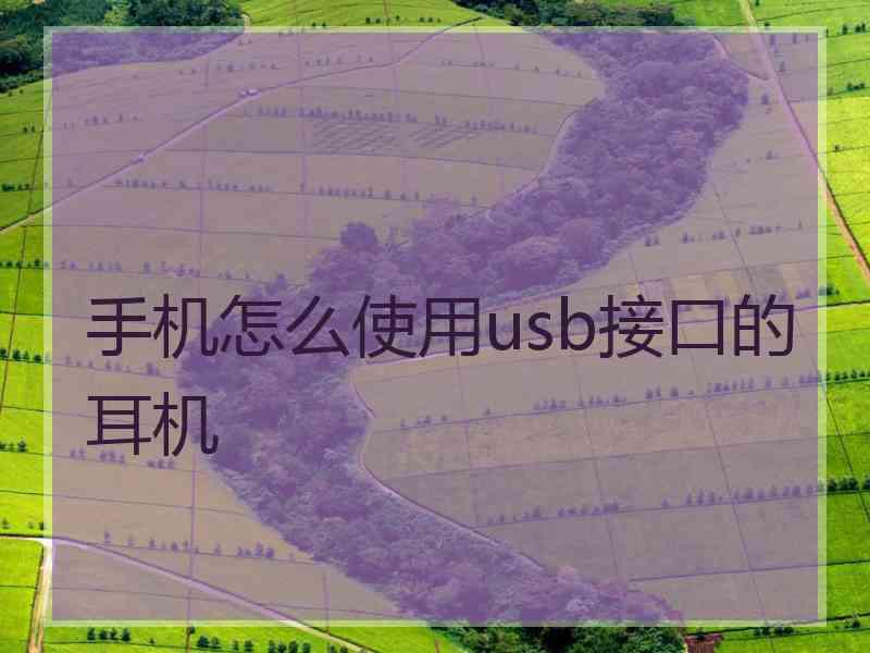 手机怎么使用usb接口的耳机