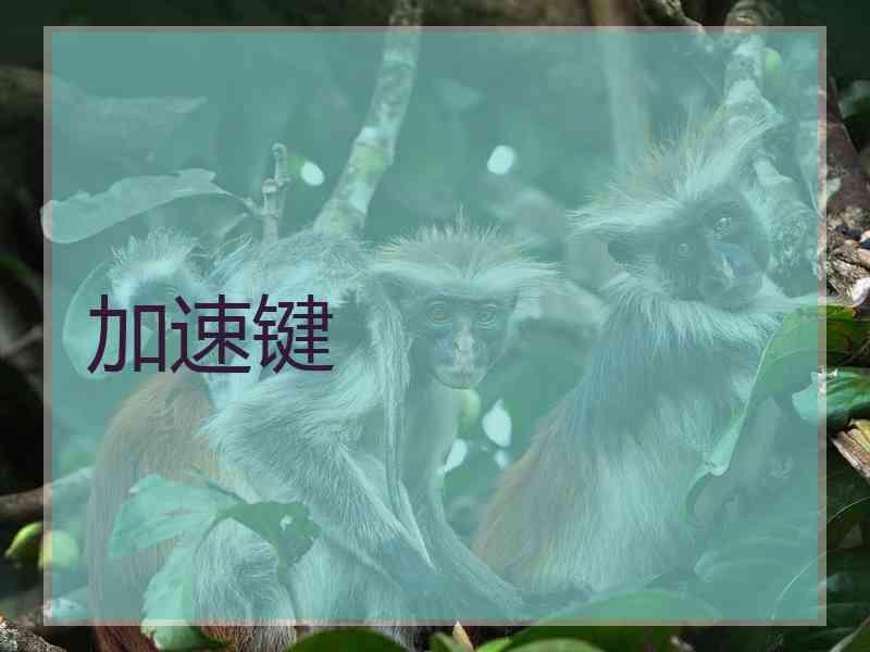 加速键