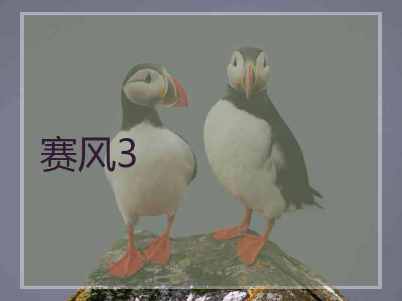 赛风3