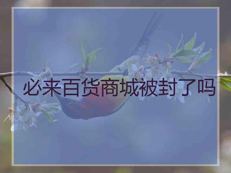 必来百货商城被封了吗