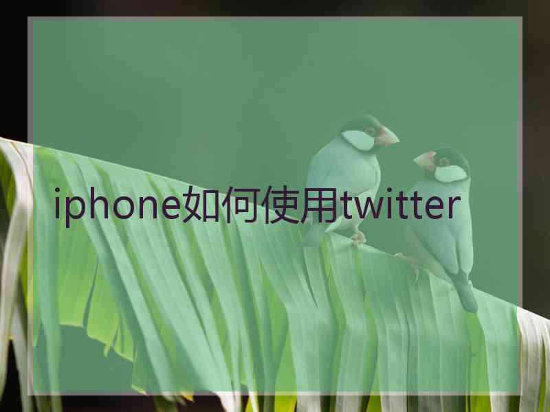 iphone如何使用twitter