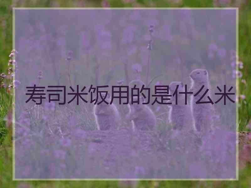 寿司米饭用的是什么米