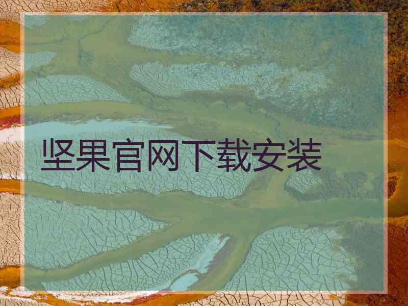 坚果官网下载安装