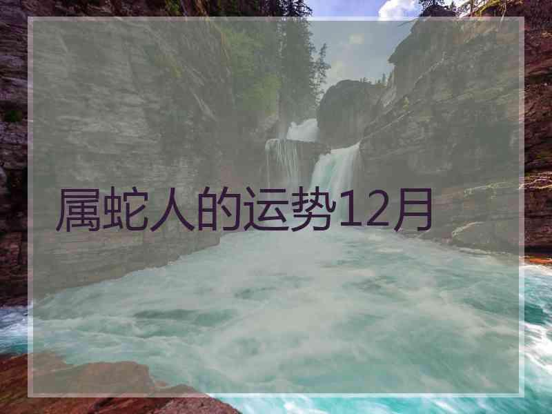 属蛇人的运势12月