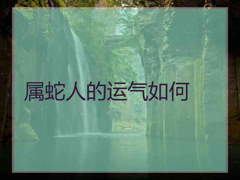 属蛇人的运气如何
