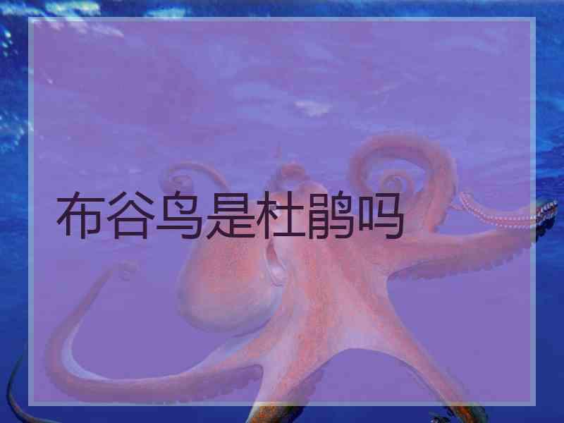 布谷鸟是杜鹃吗