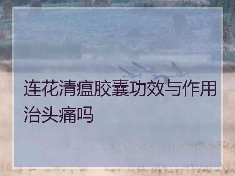 连花清瘟胶囊功效与作用治头痛吗