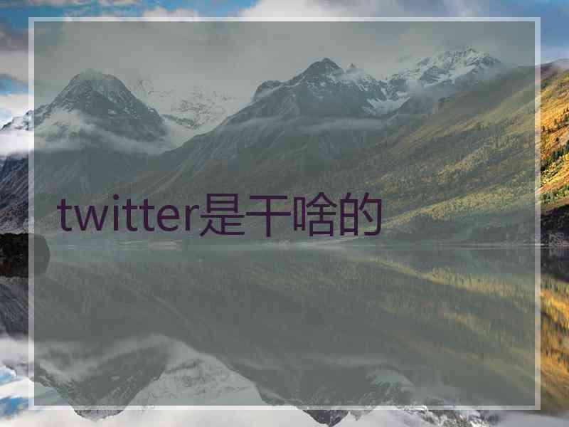twitter是干啥的