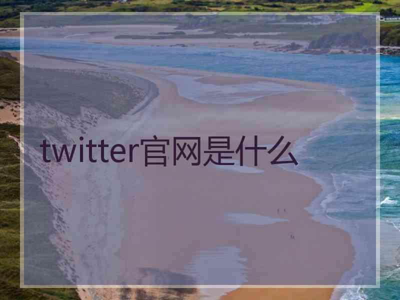 twitter官网是什么