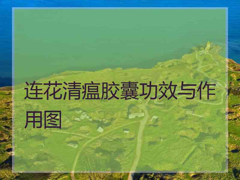 连花清瘟胶囊功效与作用图