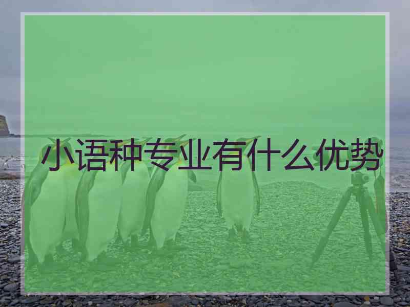 小语种专业有什么优势