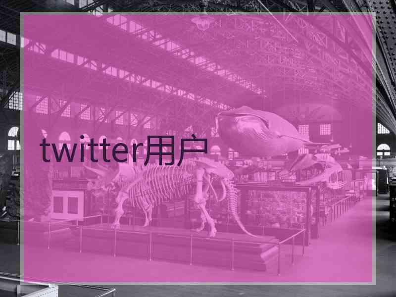 twitter用户