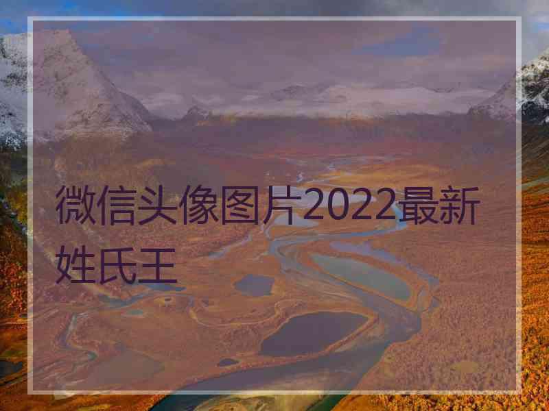 微信头像图片2022最新姓氏王