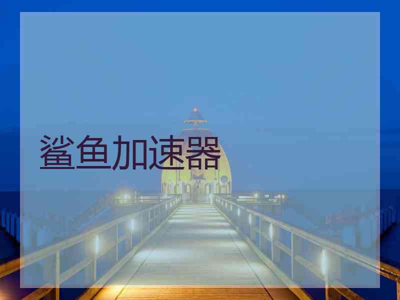 鲨鱼加速器