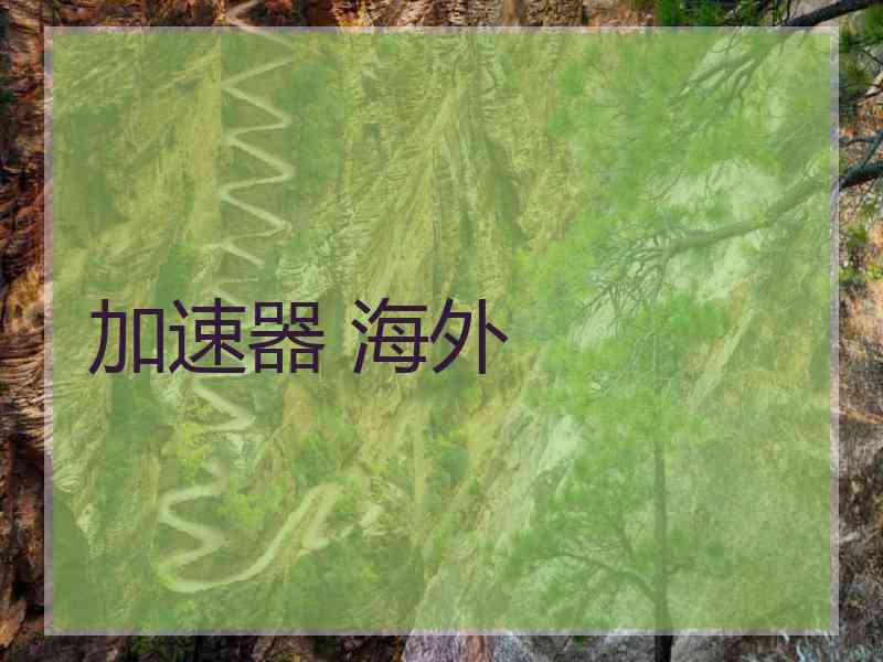 加速器 海外