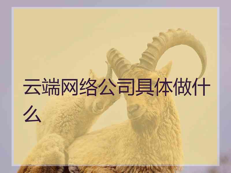 云端网络公司具体做什么