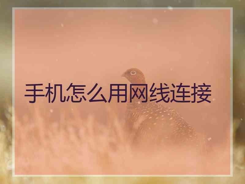 手机怎么用网线连接