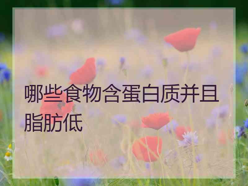 哪些食物含蛋白质并且脂肪低