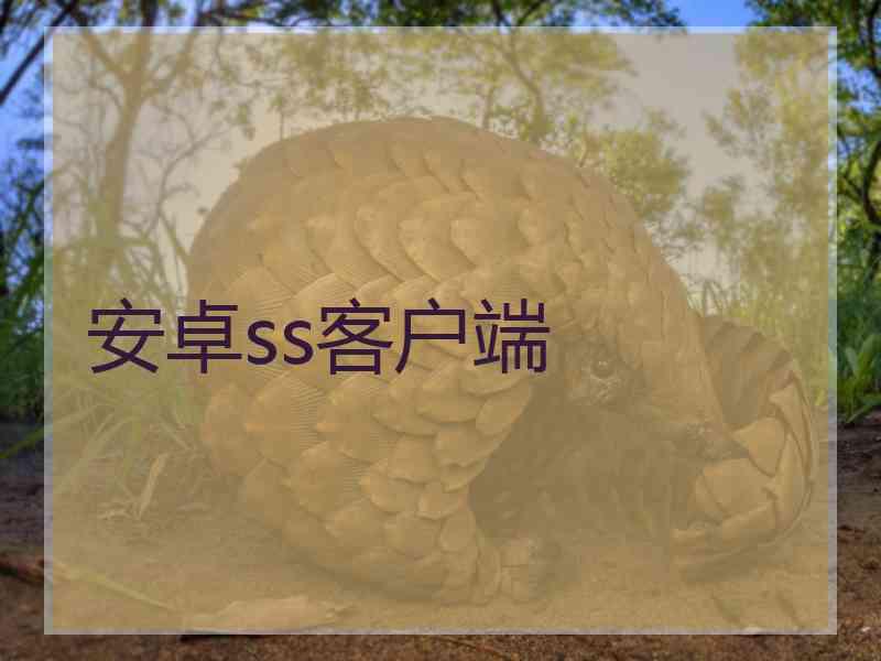 安卓ss客户端