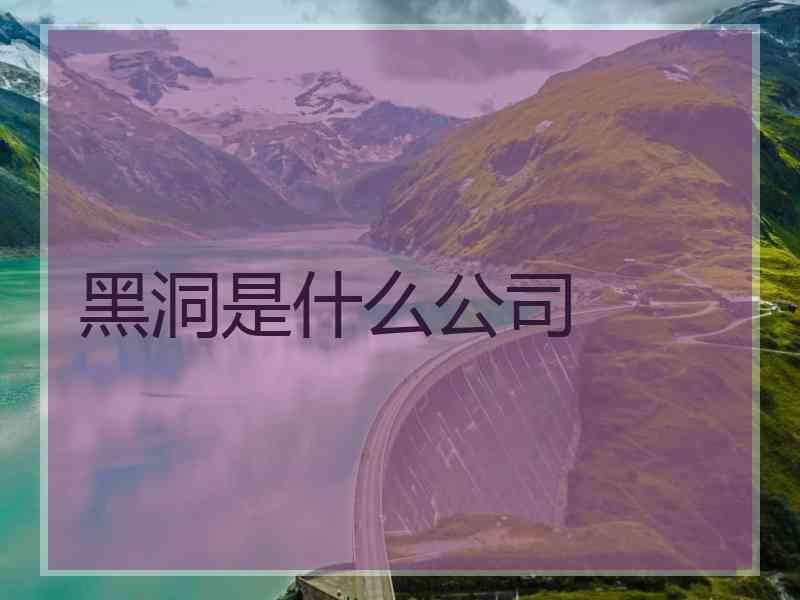 黑洞是什么公司