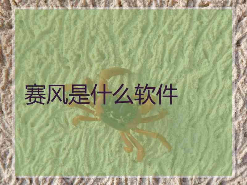 赛风是什么软件