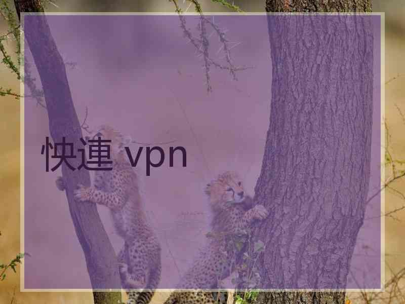怏連 vpn