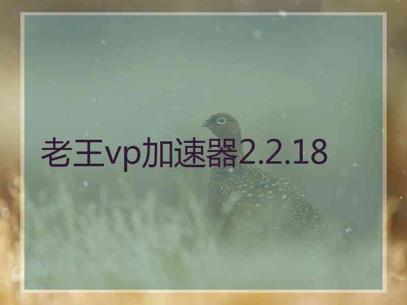 老王vp加速器2.2.18