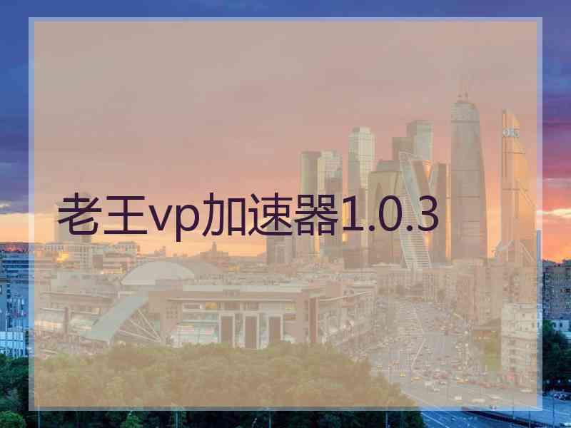 老王vp加速器1.0.3