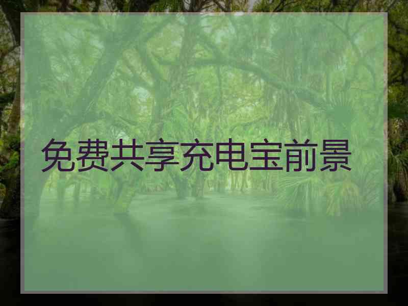 免费共享充电宝前景