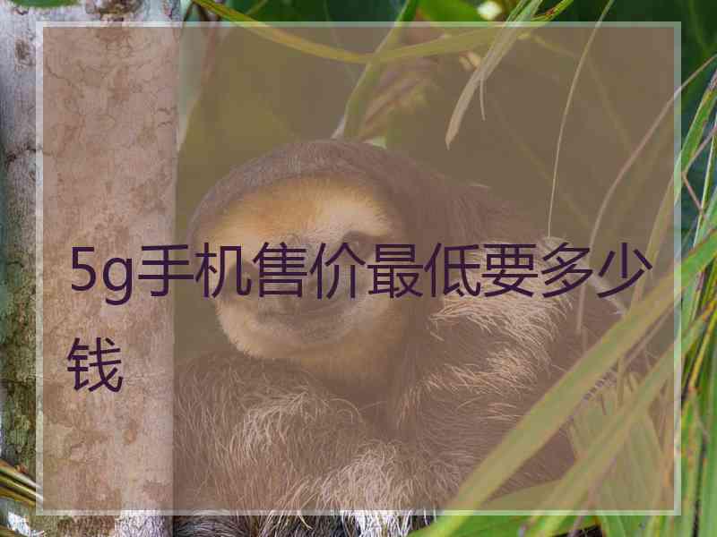 5g手机售价最低要多少钱