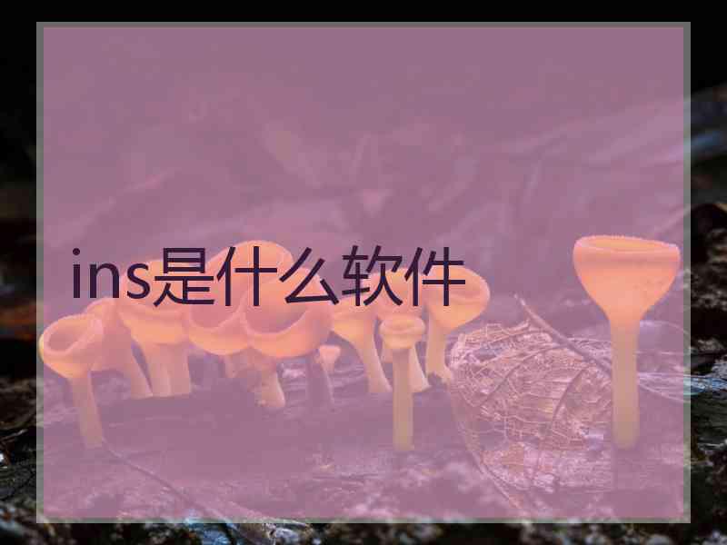 ins是什么软件