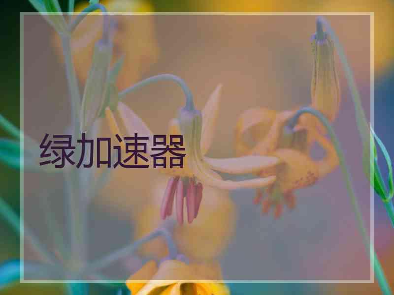 绿加速器
