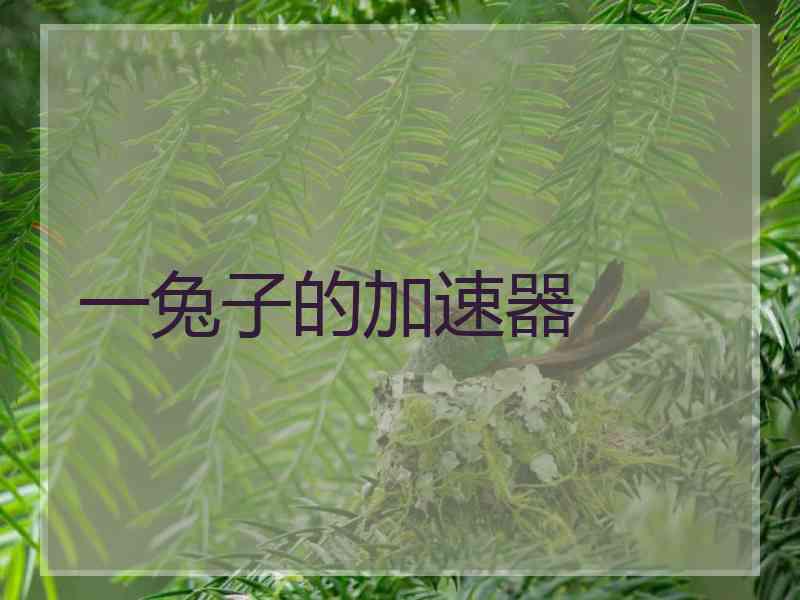 一兔子的加速器