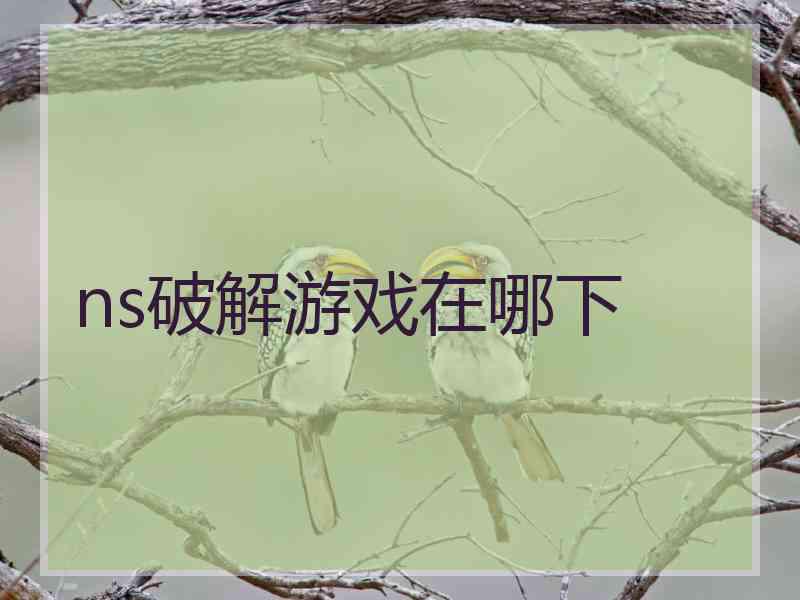 ns破解游戏在哪下