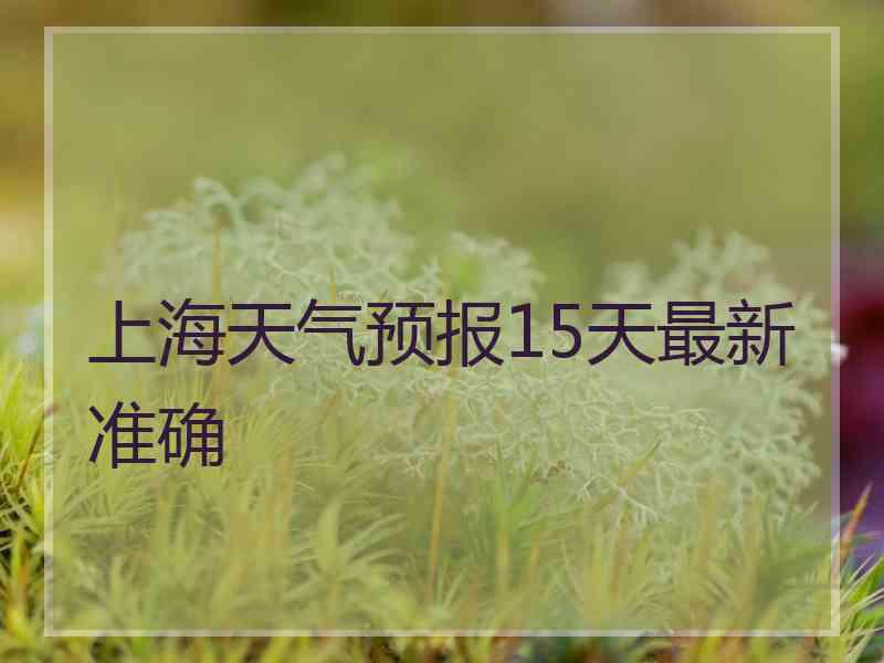 上海天气预报15天最新准确