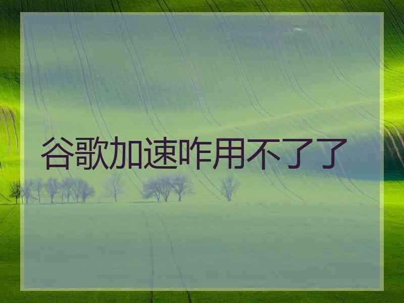 谷歌加速咋用不了了