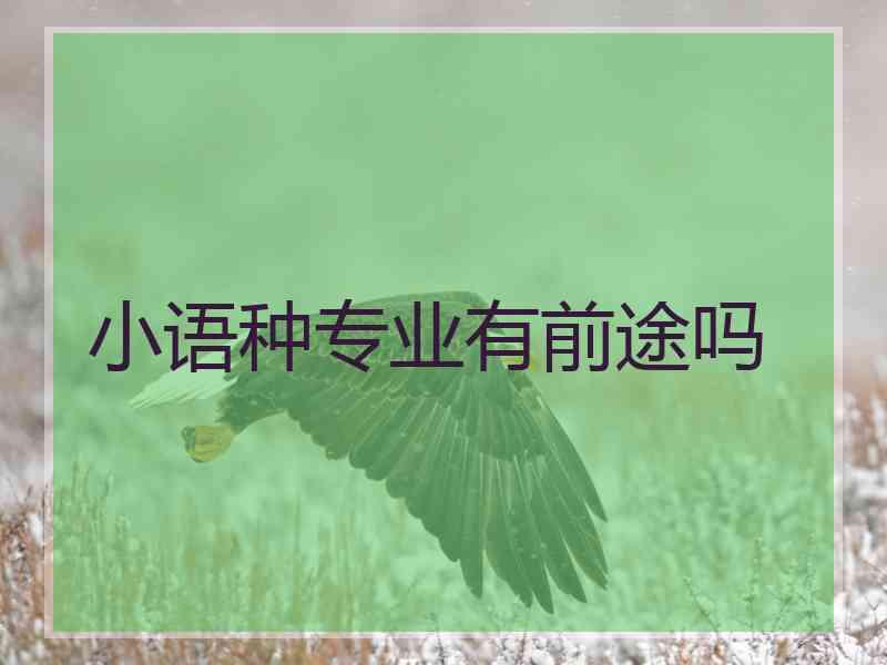 小语种专业有前途吗