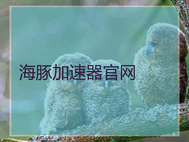 海豚加速器官网