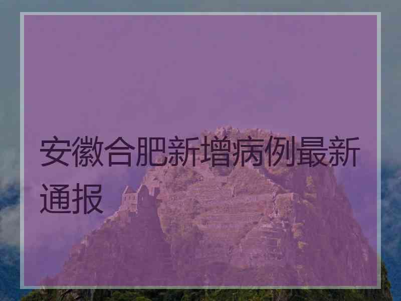安徽合肥新增病例最新通报