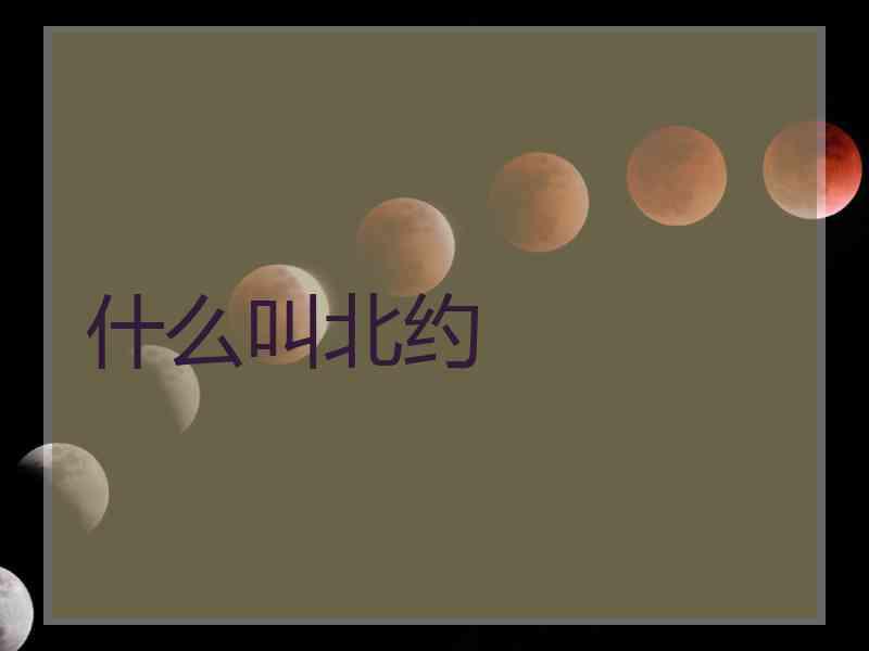 什么叫北约