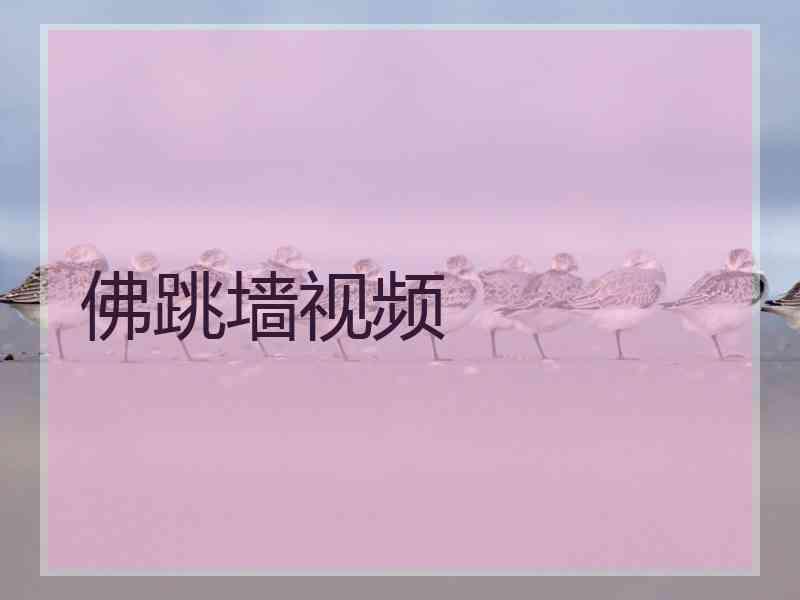 佛跳墙视频