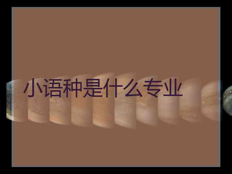 小语种是什么专业